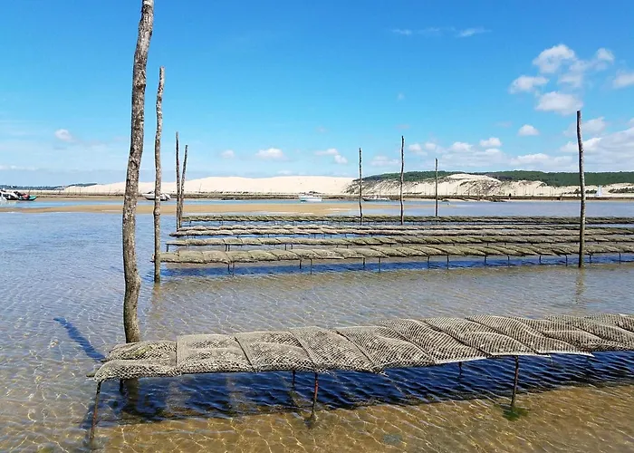 : 8 Pers, Proche Plage, Jardin, Parking, Wifi - Fr-1-474-275 آركاشو